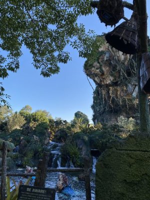 IMG_4612.JPEG