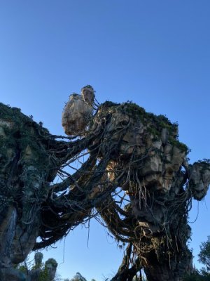 IMG_4621.JPEG