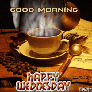 IMG_2181.gif