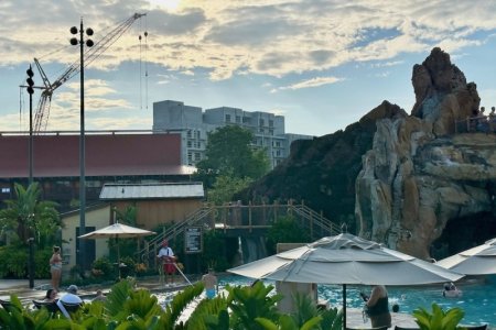 Disneys-Polynesian-Tower-Construction-2023-August-6.jpeg