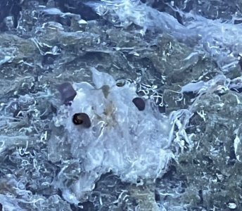 Day4_Cave_Basin_4.jpg
