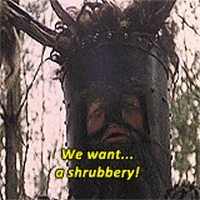 20000.gif