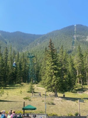 Day4_gondola_2.jpg