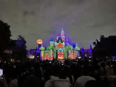 IMG_6730.jpeg