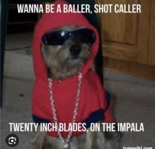 IMG_1474.jpeg
