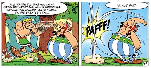 asterix_v12_fat.jpeg