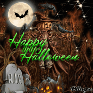 IMG_1958.gif
