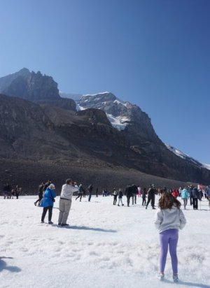 Day5_icefields_4.jpg
