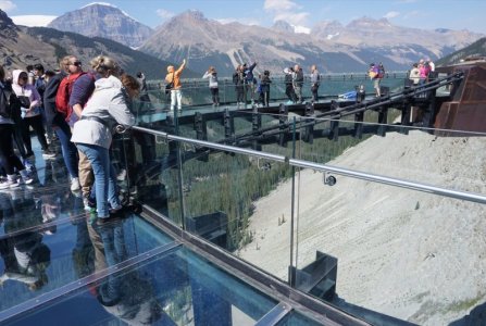 Day5_skywalk_3.jpg