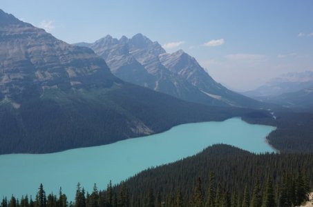 Day5_peyto_1.jpg