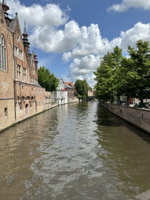 IMG_4553.jpeg