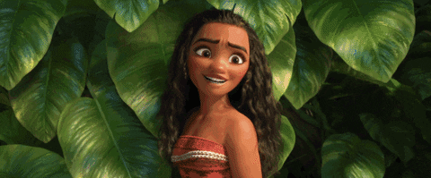 IMG_2429.gif IMG_2429.gif