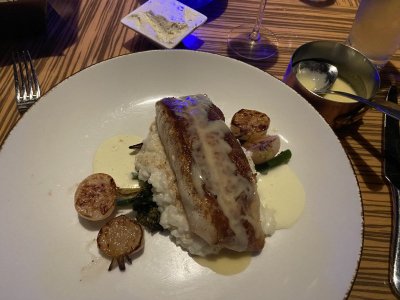 IMG_8541.jpeg