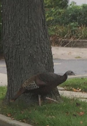 1694433298615.jpeg 1694433298615.jpeg