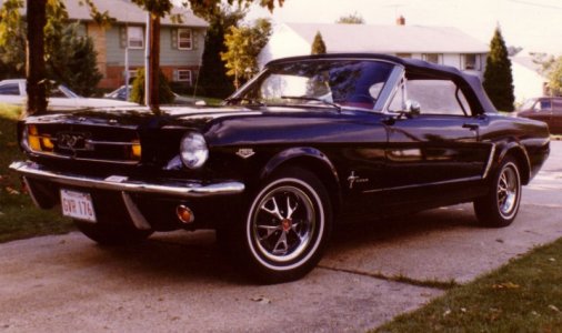 65 Mustang crop.jpg