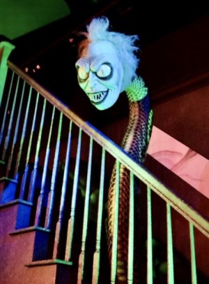 IMG_2039.jpeg