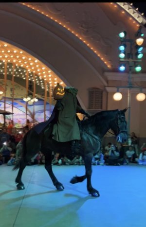 IMG_7411.jpeg