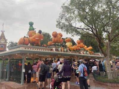 IMG_6185.jpeg IMG_6185.jpeg