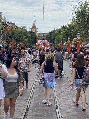IMG_6204.jpeg IMG_6204.jpeg