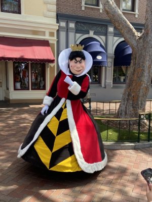 IMG_6208.jpeg