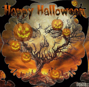 IMG_2229.gif IMG_2229.gif