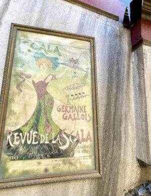 IMG_2126.jpeg
