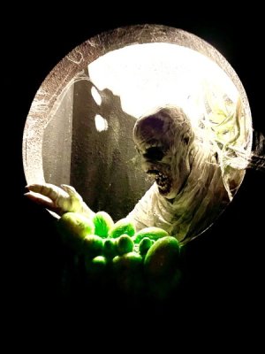 IMG_9448.jpeg