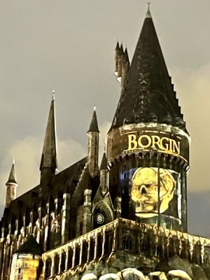 IMG_9732.jpeg