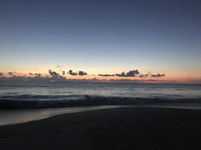 IMG_3134.jpeg