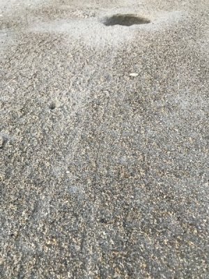 IMG_3148.jpeg