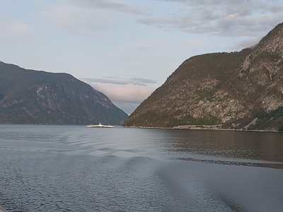 IMG_20230822_074240474.jpg