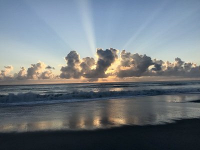 IMG_3243.jpeg