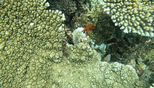 IMG_1493.jpeg
