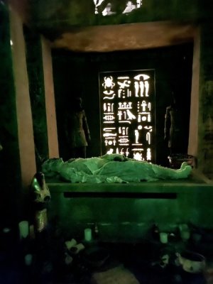 IMG_2623.jpeg