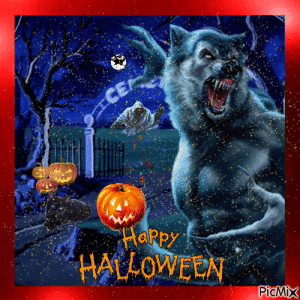 IMG_2234.gif