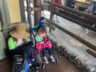 Misery at the Magic Kingdom.jpeg