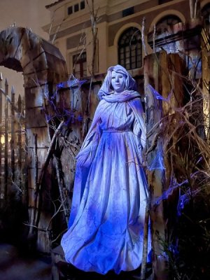 IMG_2816.jpeg