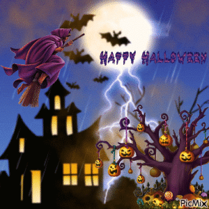 IMG_2228.gif