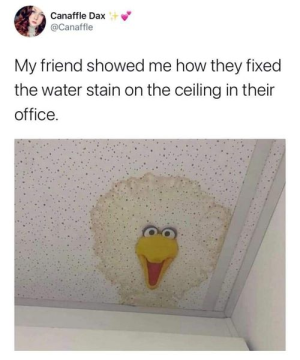 1695049766884.png