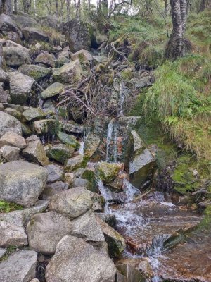 IMG_20230824_102504563_HDR.jpg