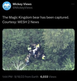 IMG_1332.jpeg
