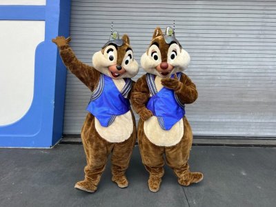 IMG_2354.jpeg