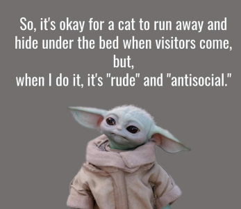1695087789324.png