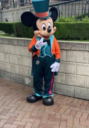 IMG_6349.jpeg IMG_6349.jpeg