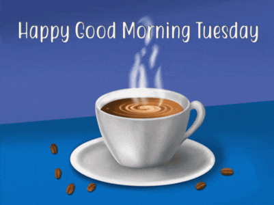 IMG_2216.gif