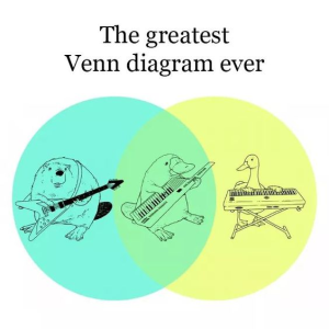 1695130290917.png