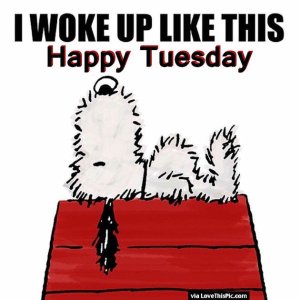 228087-I-Woke-Up-Like-This-Happy-Tuesday.jpg