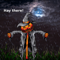 IMG_2314.gif
