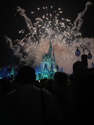 IMG_9515.jpeg