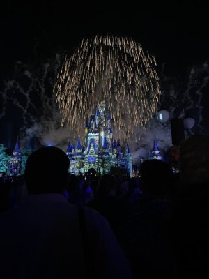 IMG_9514.jpeg